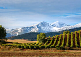 Traveling to Spain? What to know about Spanish wine